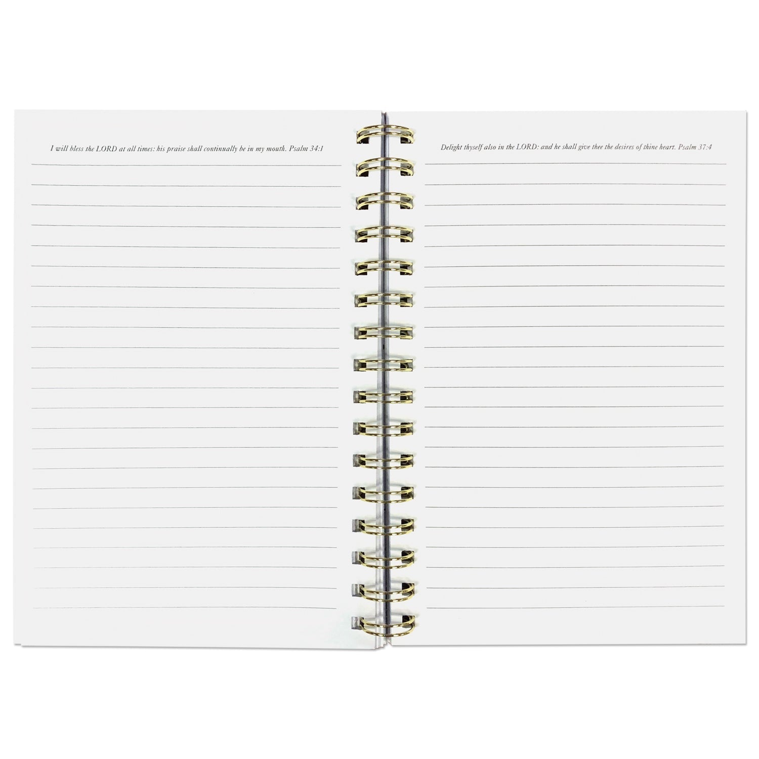 STILL I RISE CAGED BIRD WIRED JOURNAL